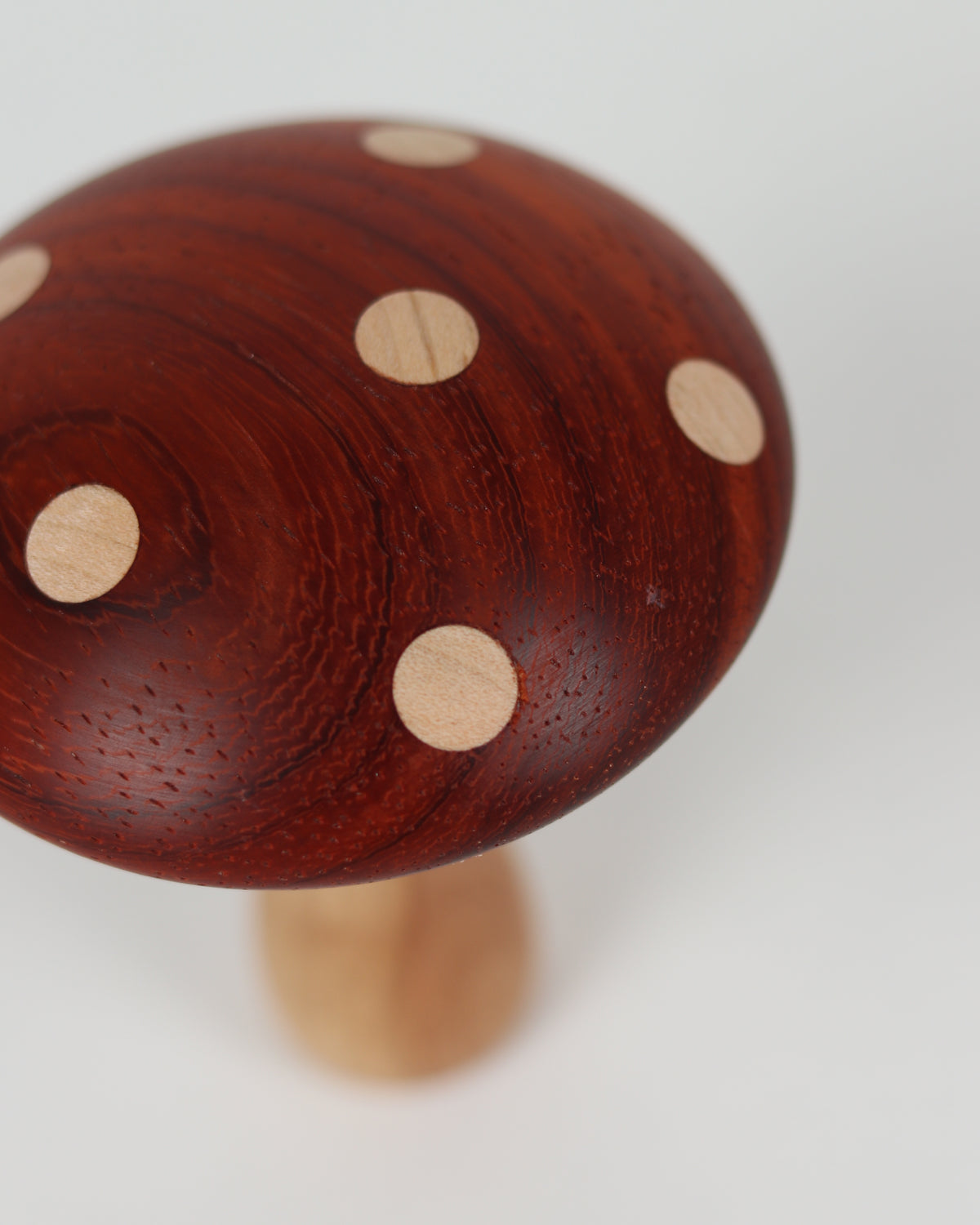 Spotted Wooden Mushroom