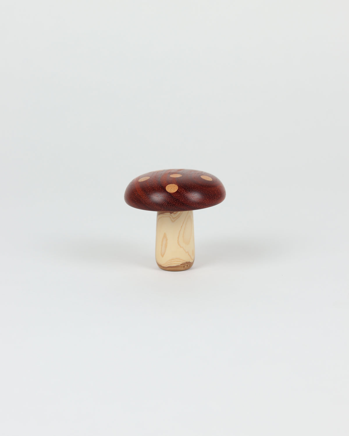 Polka Dot Wood Mushroom 3
