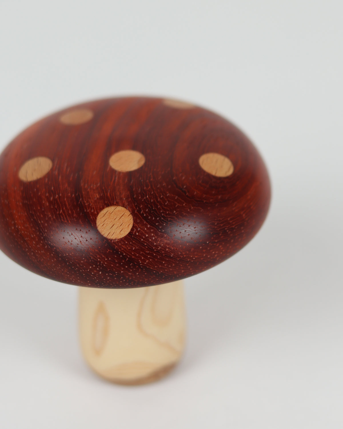 Polka Dot Wood Mushroom 3