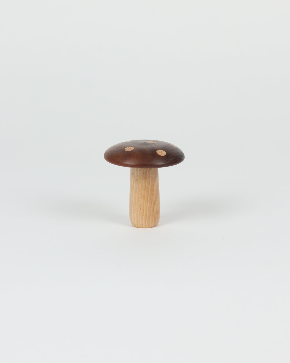 Polka Dot Wood Mushroom 5