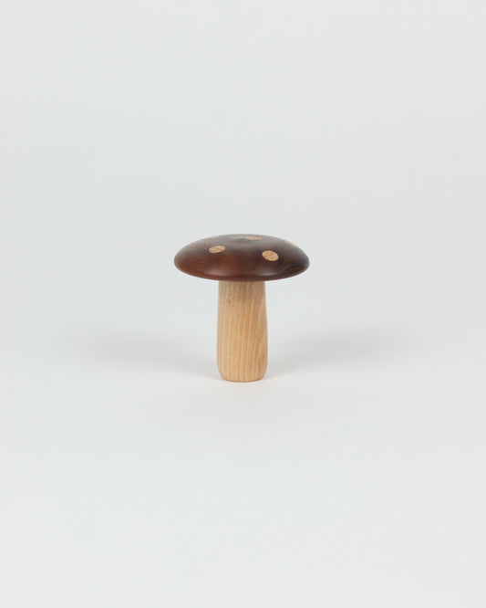 Polka Dot Wood Mushroom 5