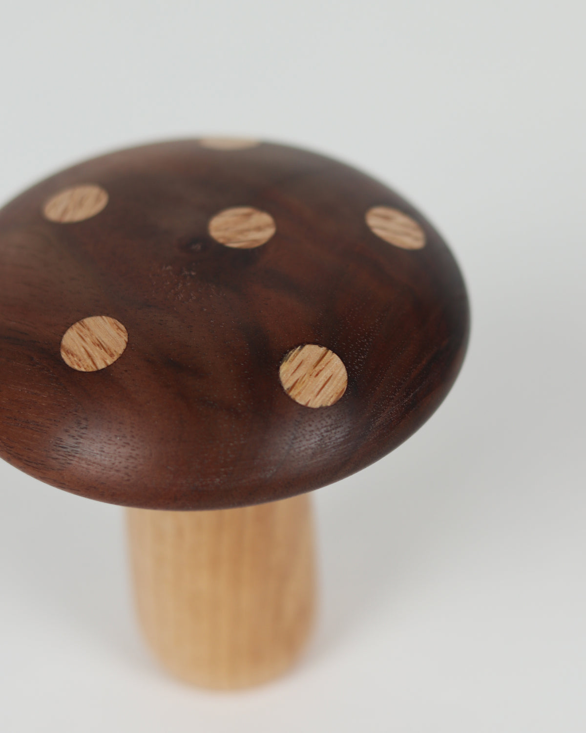 Polka Dot Wood Mushroom 5