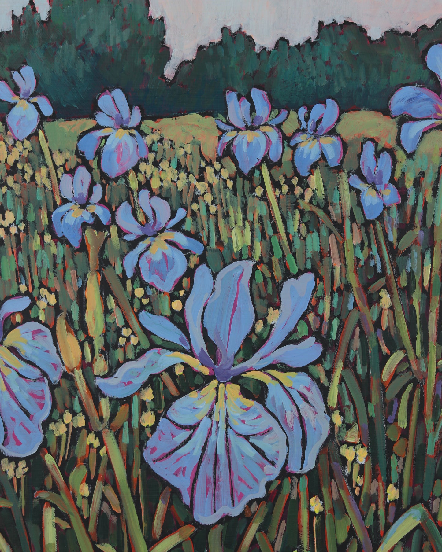 Irises