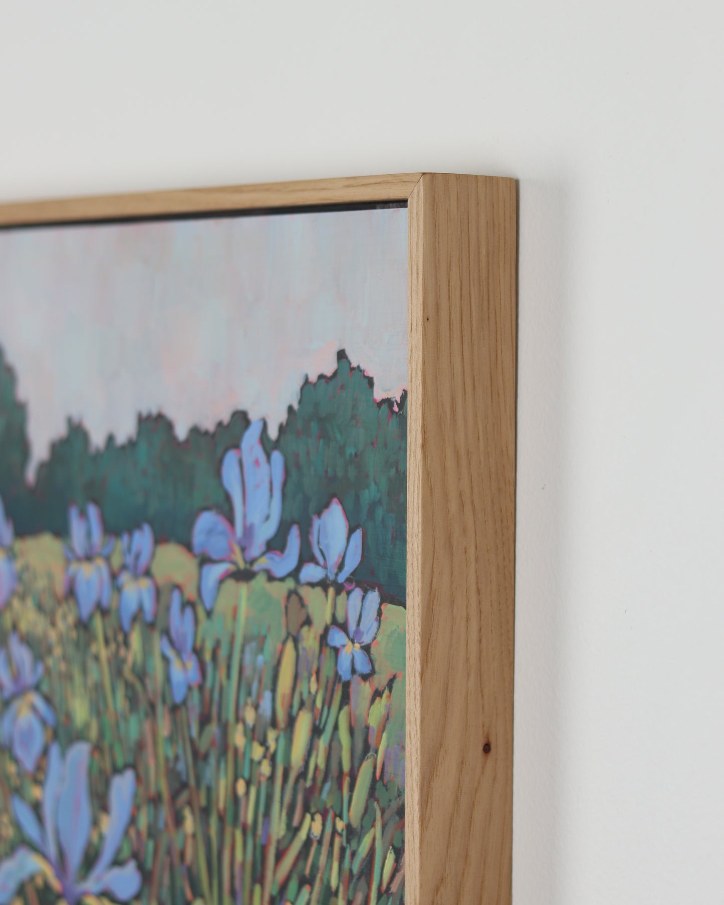 Irises