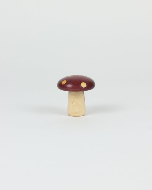 Polka Dot Wood Mushroom 4
