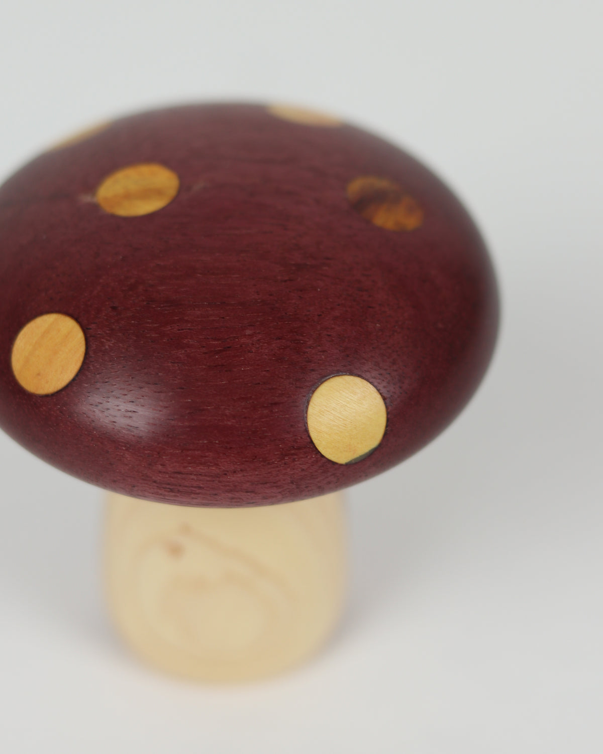 Polka Dot Wood Mushroom 4