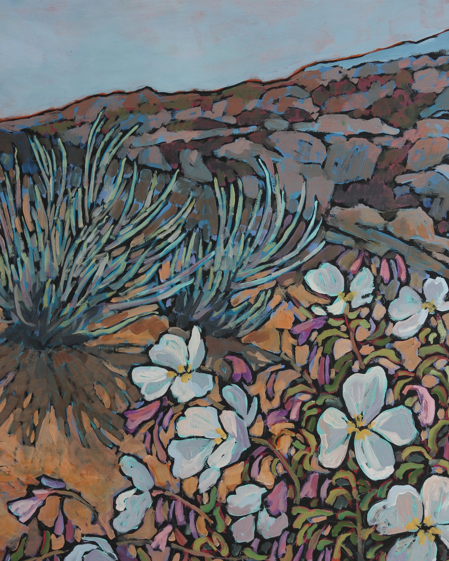 Desert Prinmrose