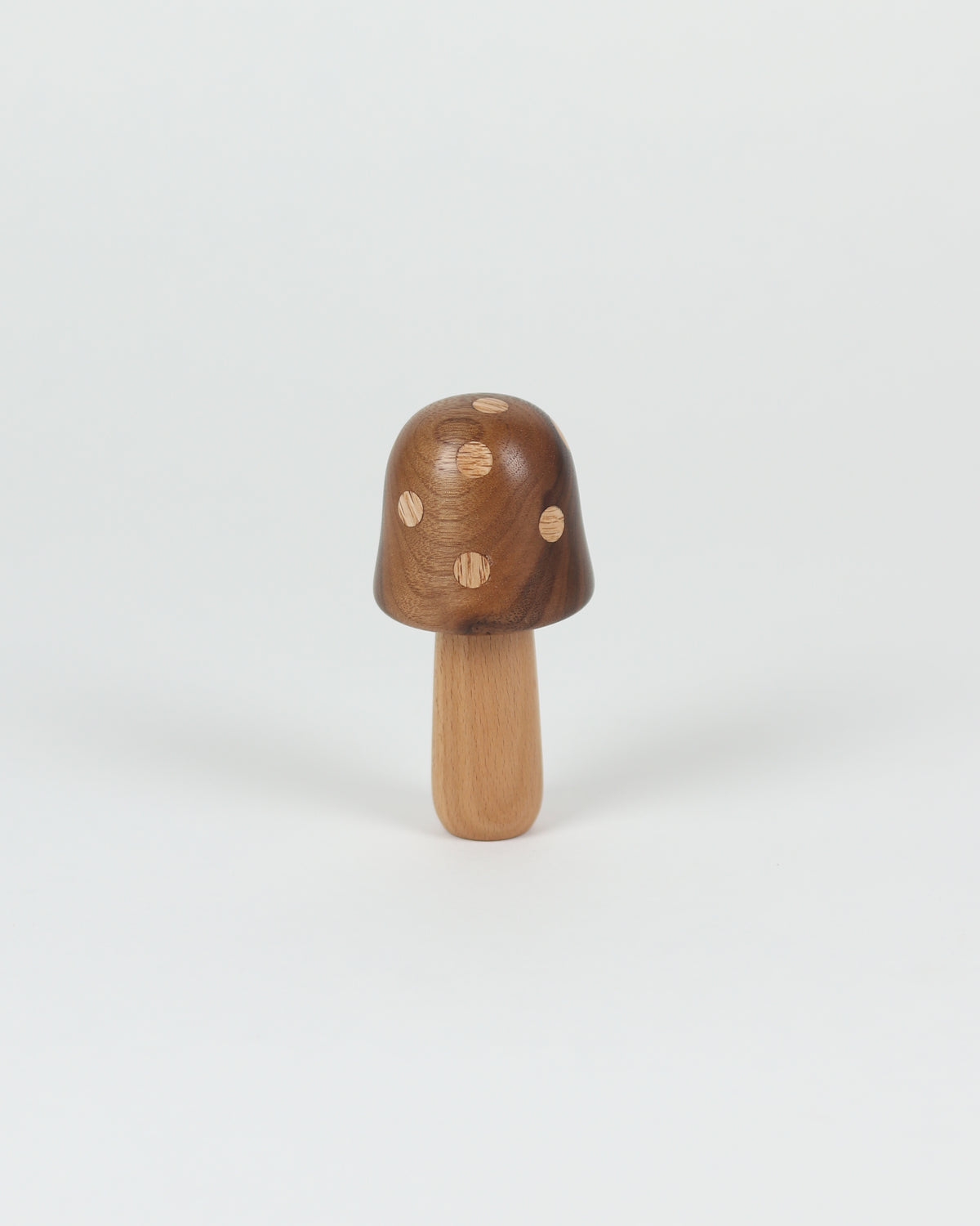 Polka Dot Wood Mushroom 2