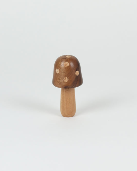 Polka Dot Wood Mushroom 2