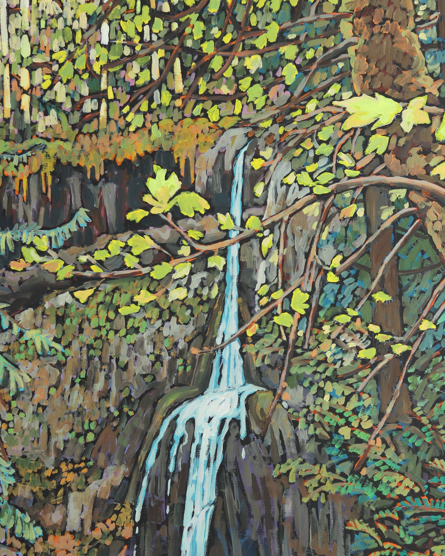 Marymere Falls