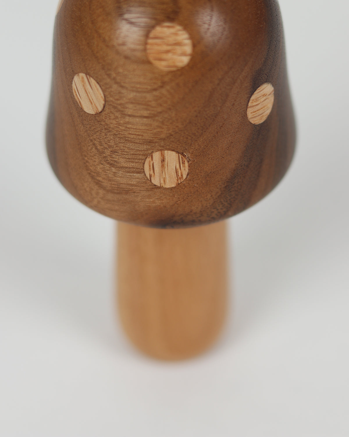 Polka Dot Wood Mushroom 2