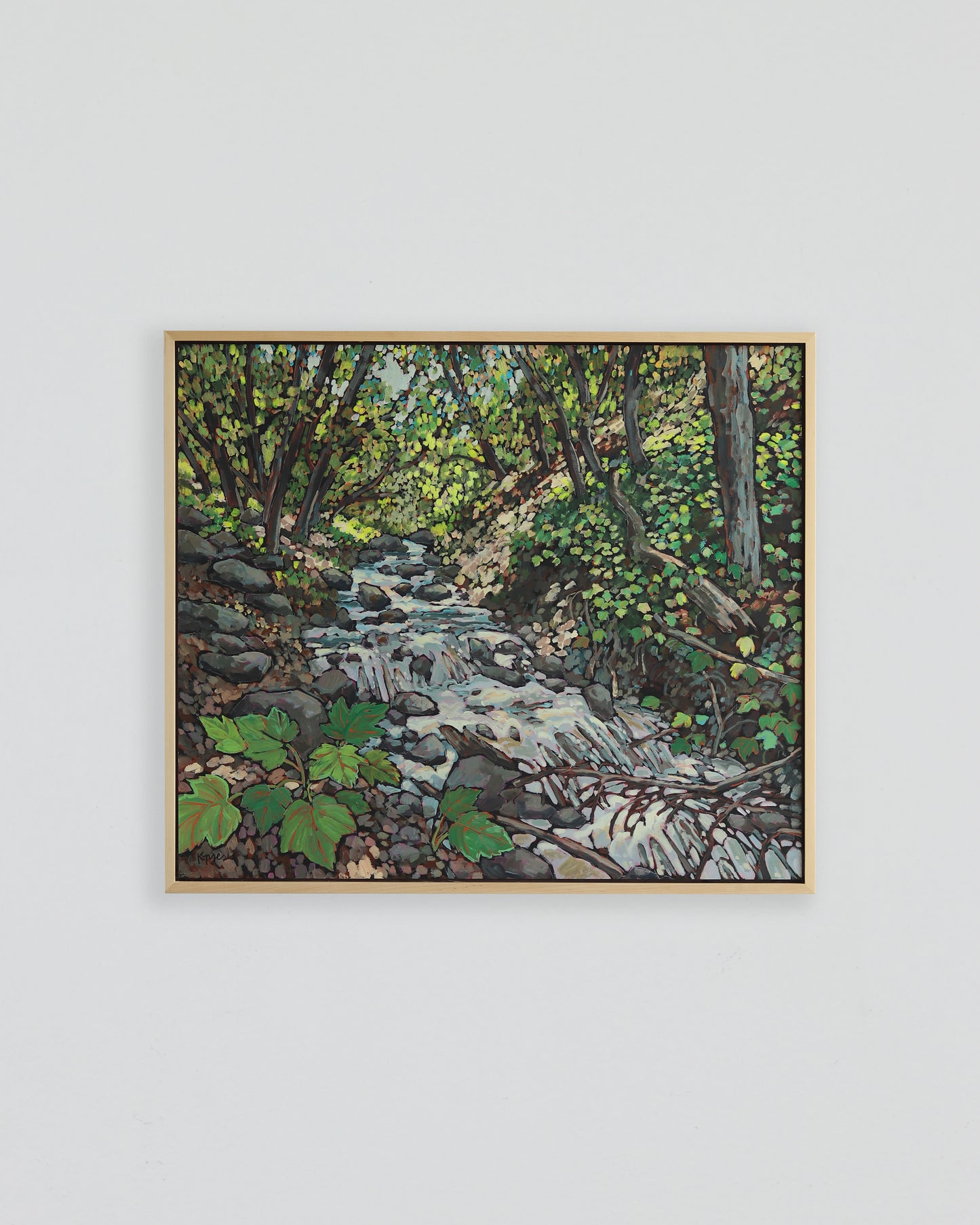Rocky Mouth Falls