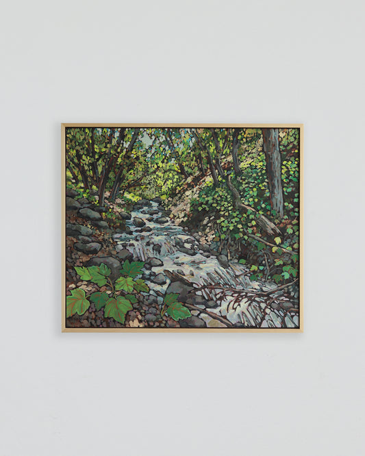 Rocky Mouth Falls