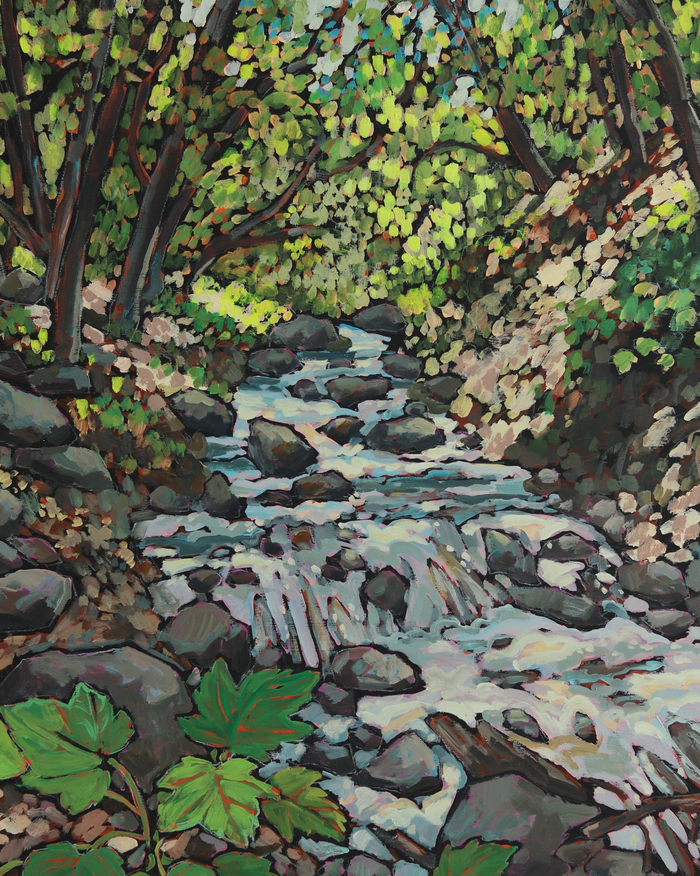 Rocky Mouth Falls