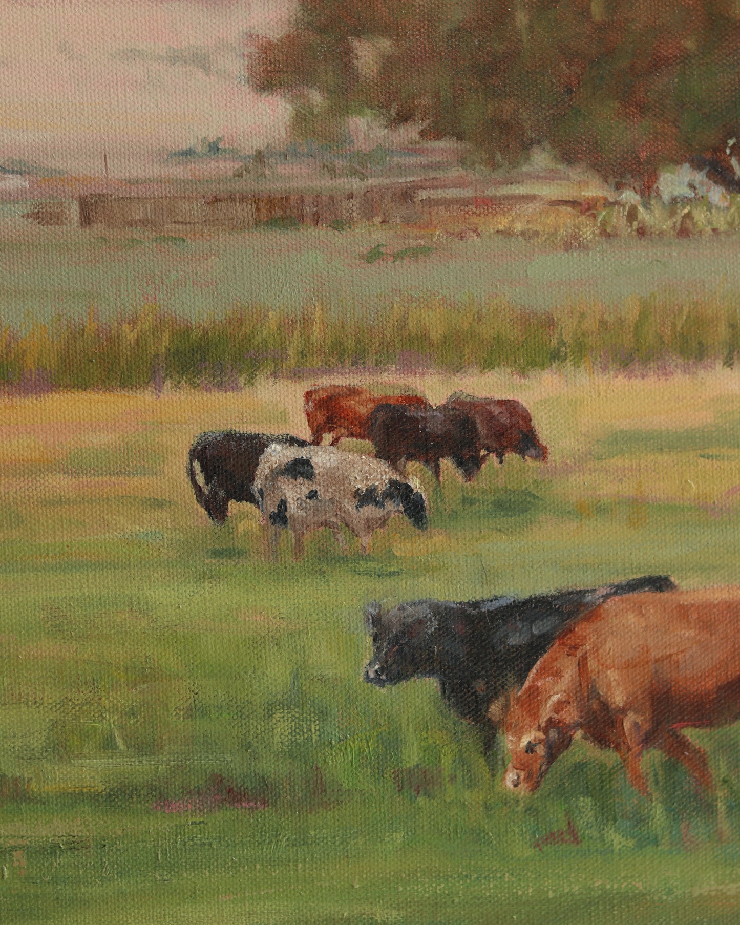In The Valley