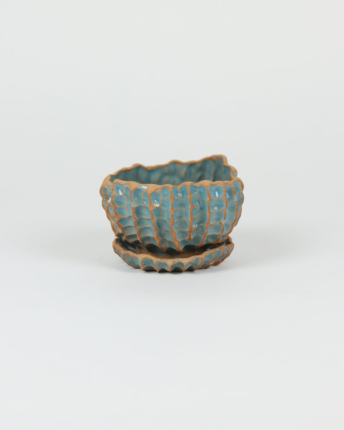 Large Planter with Basin in Robins Egg