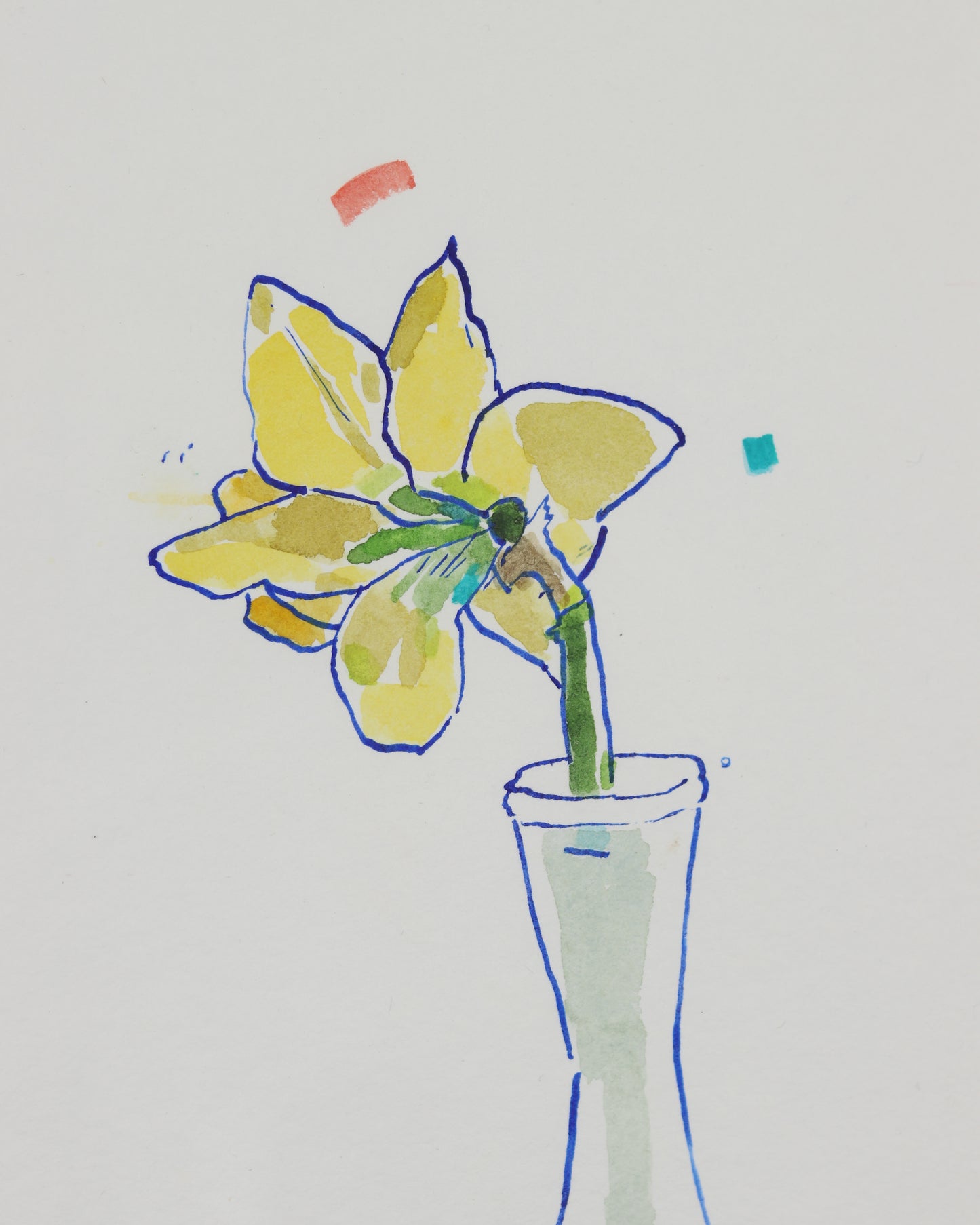Shy Daffodil
