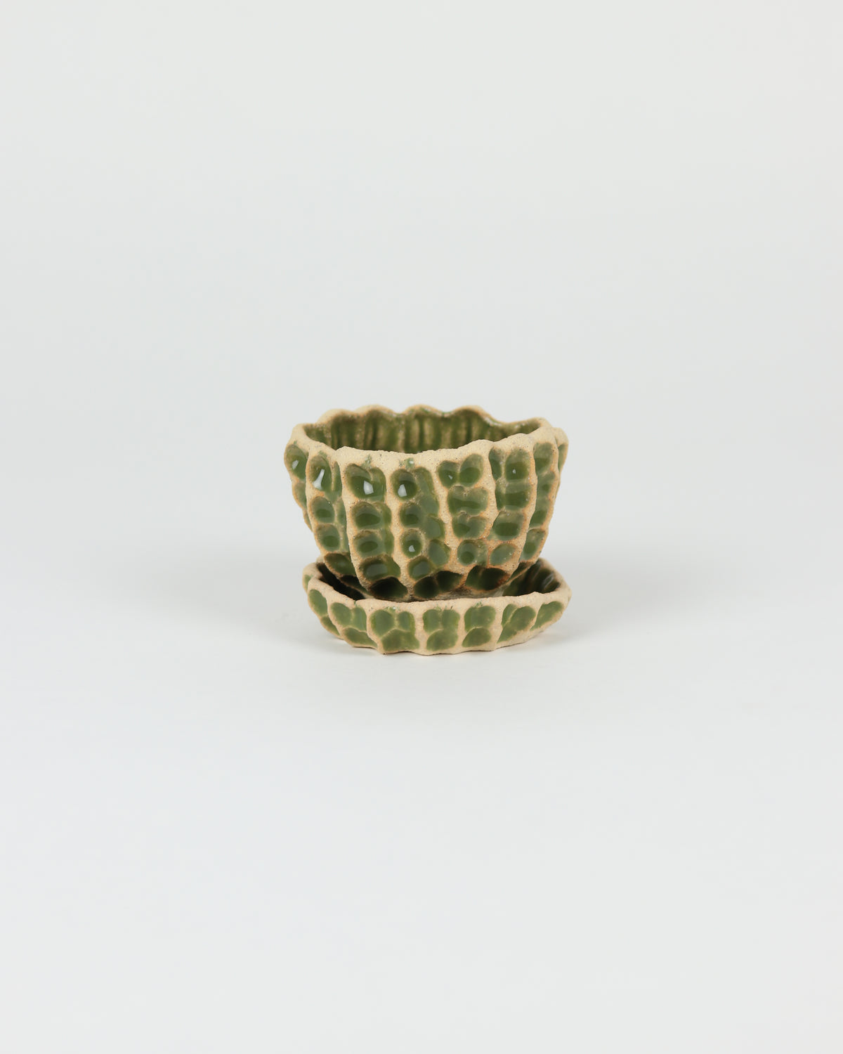 Medium Planter with Basin in Avocado