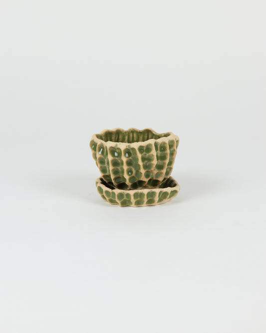 Medium Planter with Basin in Avocado