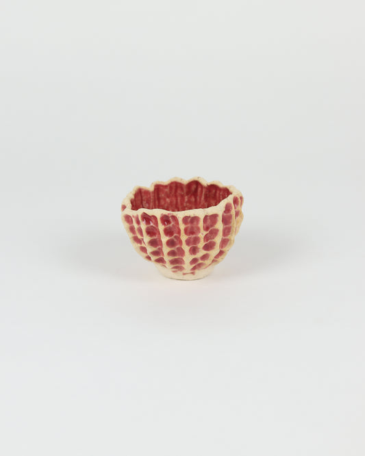 Medium Planter in Raspberry