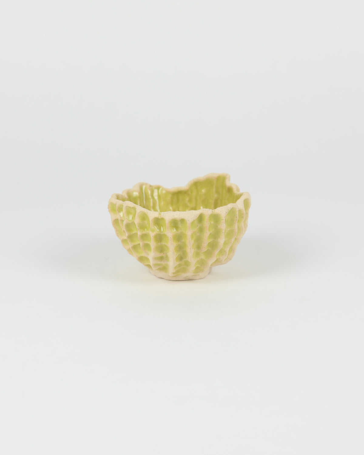 Medium Planter in Lime