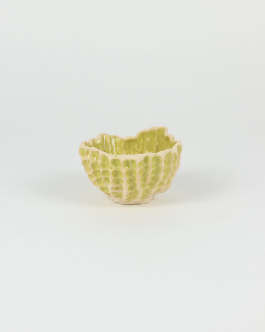 Medium Planter in Lime