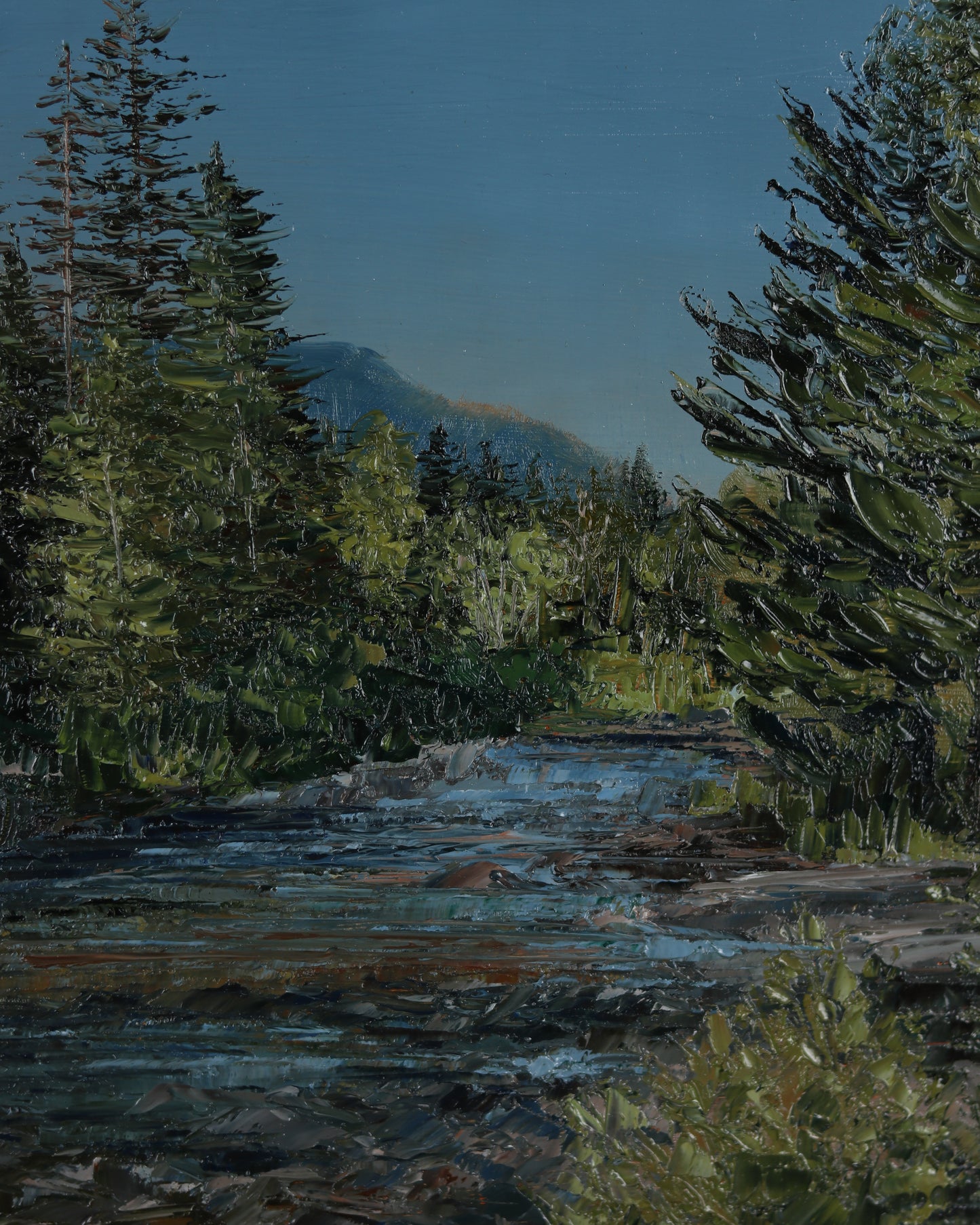 Glistening Uinta River