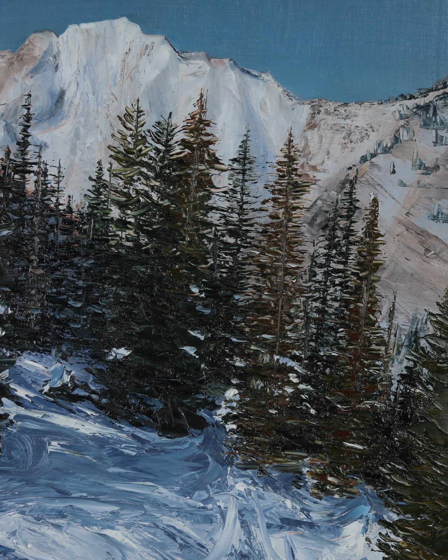 Alta Snowy Pines