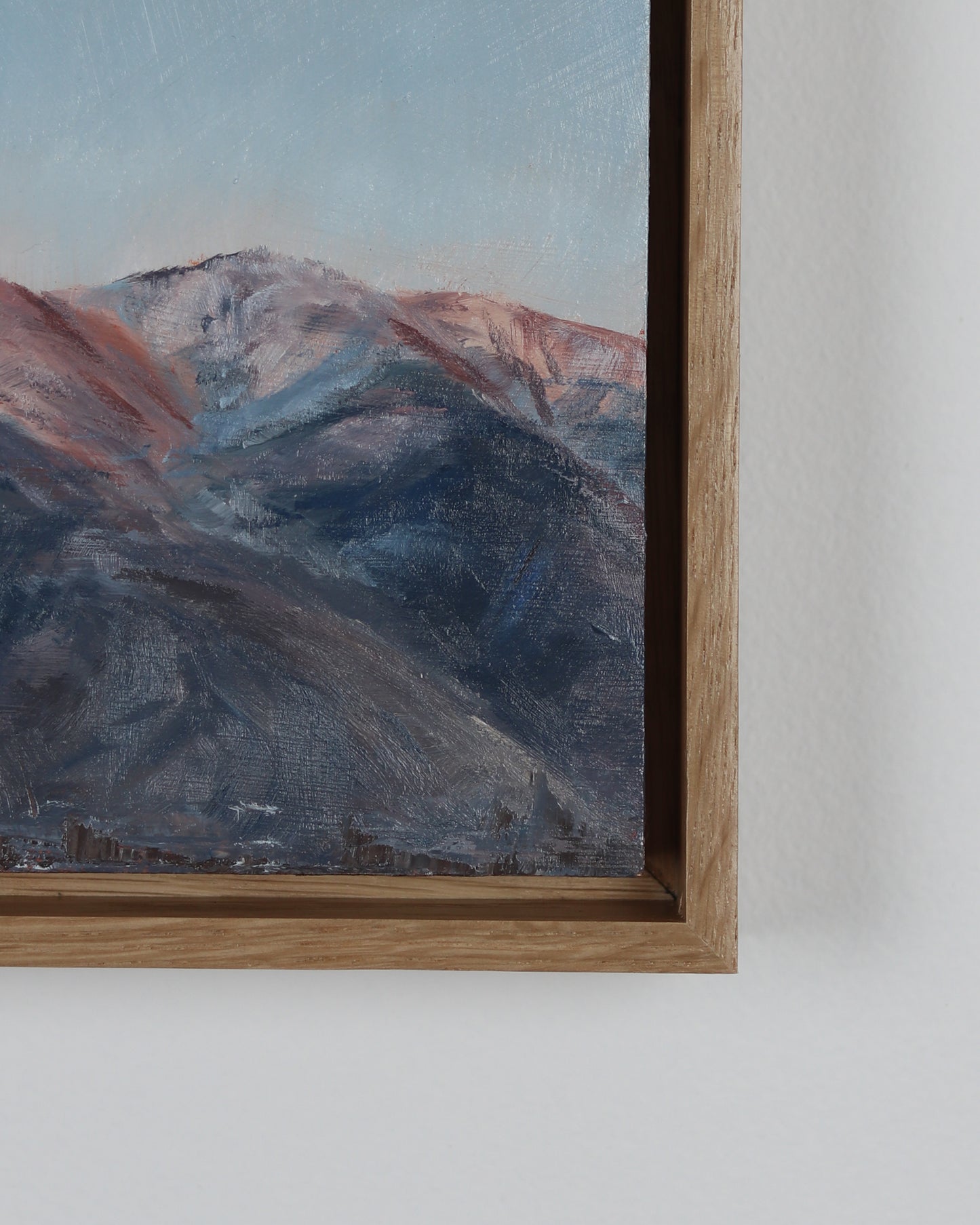 Snowy Wasatch Mountains