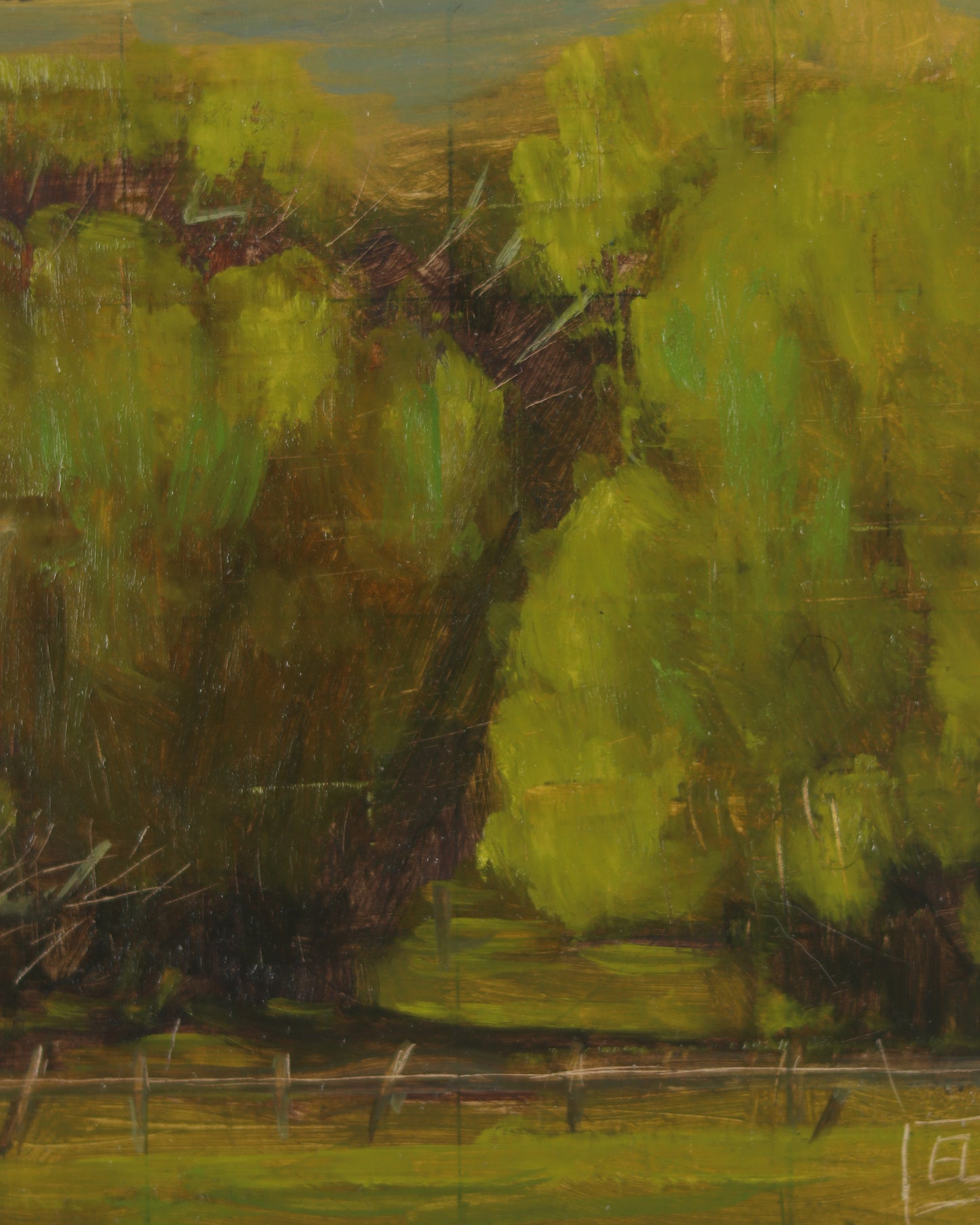 Cottonwoods