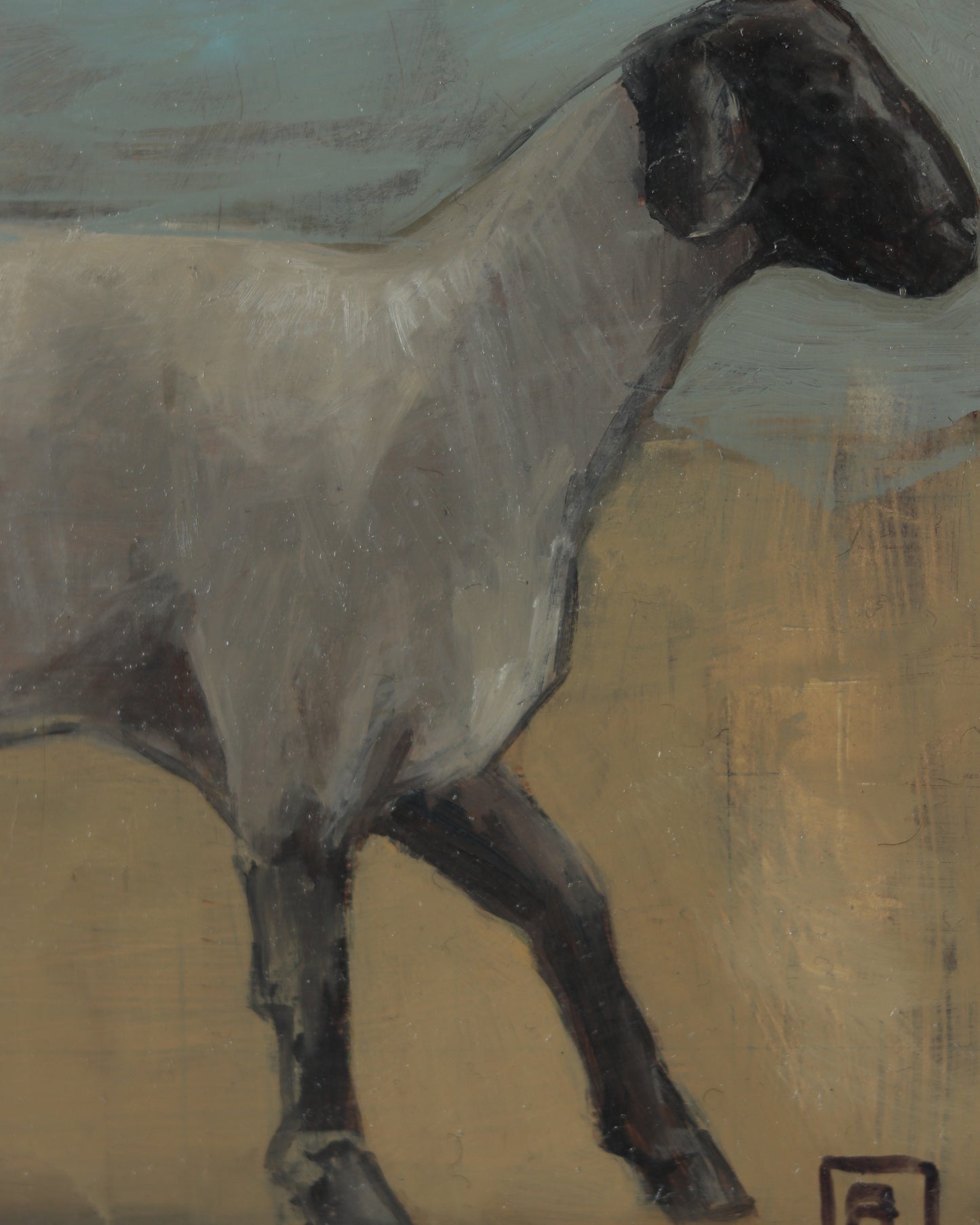 Shorn 2 - Study
