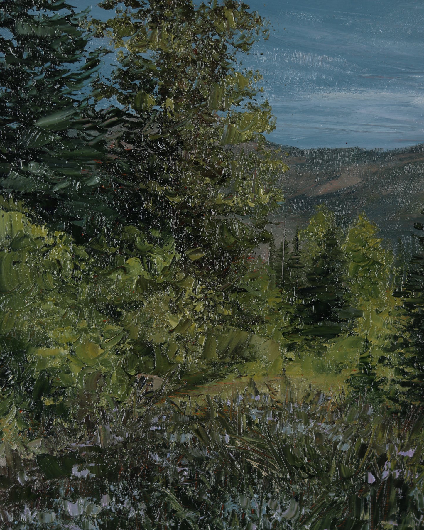 Big Cottonwood Wildflowers