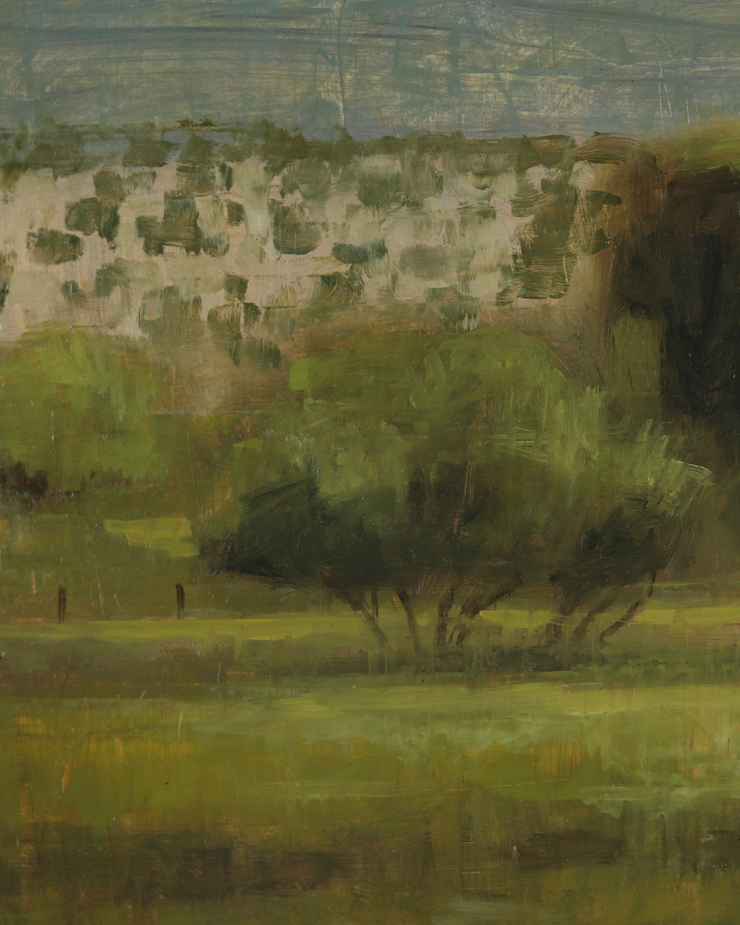 Field Near Spring City
