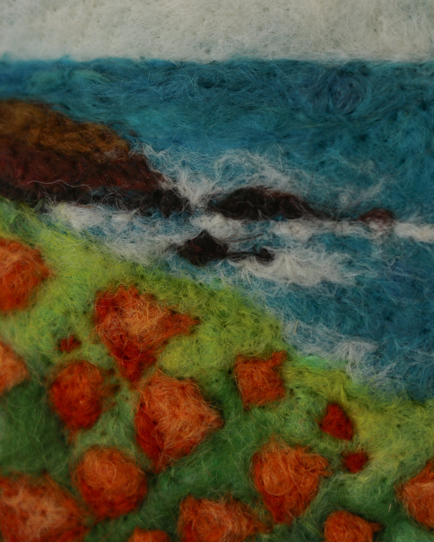 Big Sur Poppies