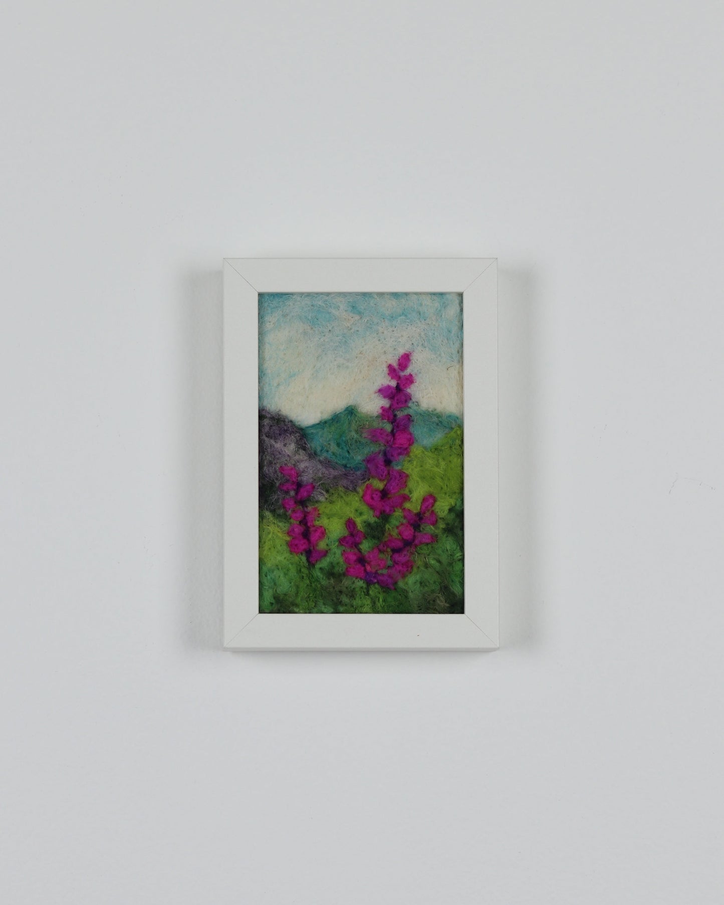 Pink Mountain Lupines