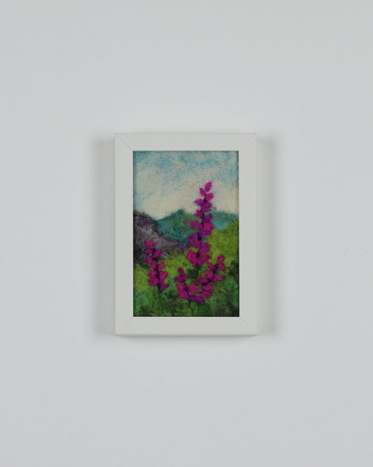 Pink Mountain Lupines