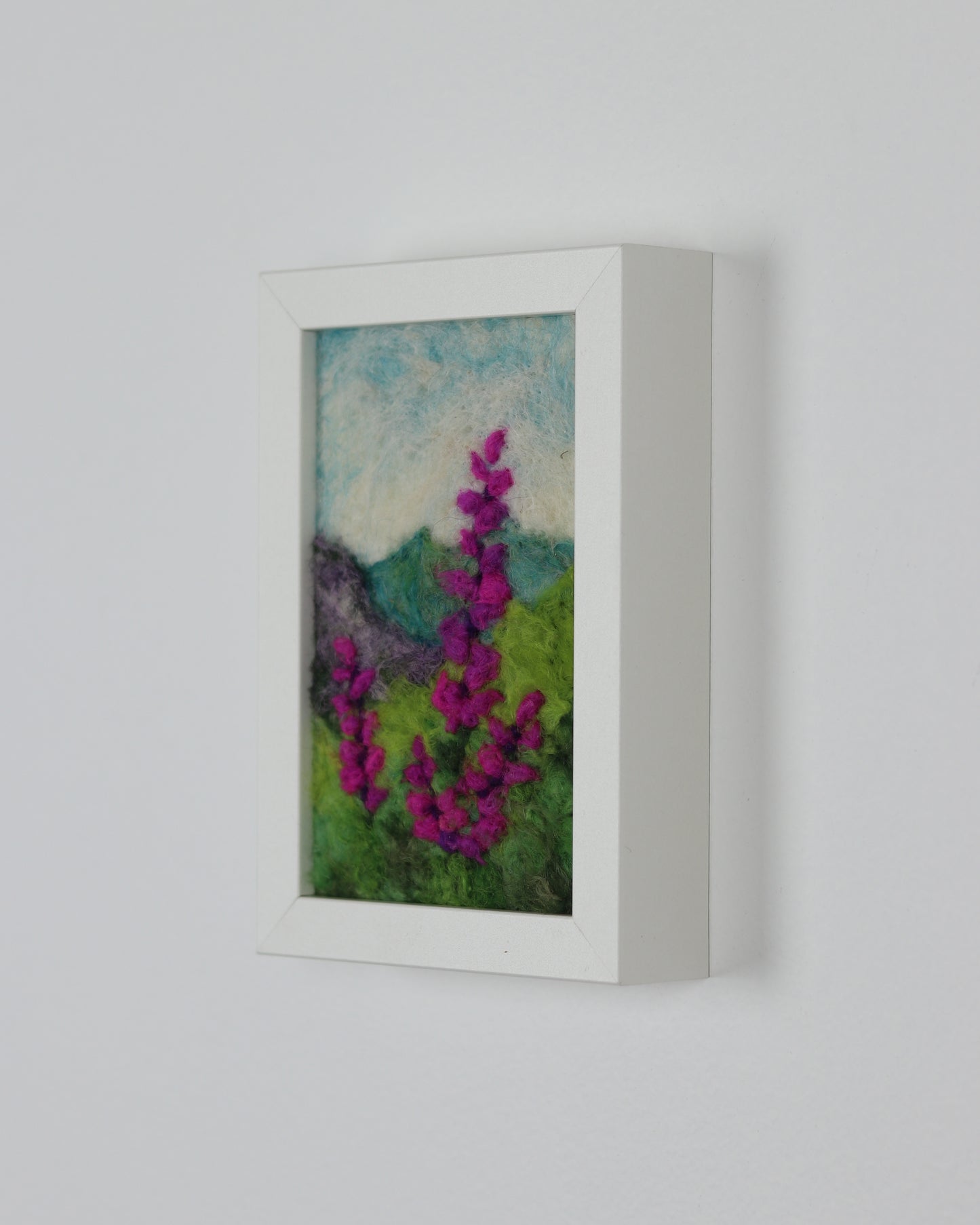 Pink Mountain Lupines