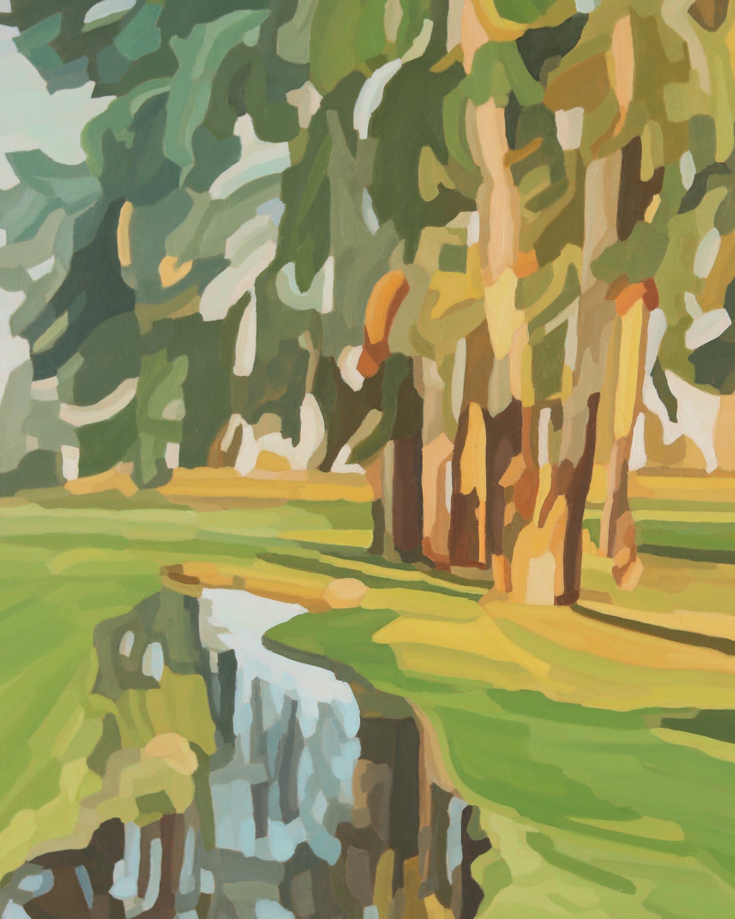 Evening Reflections