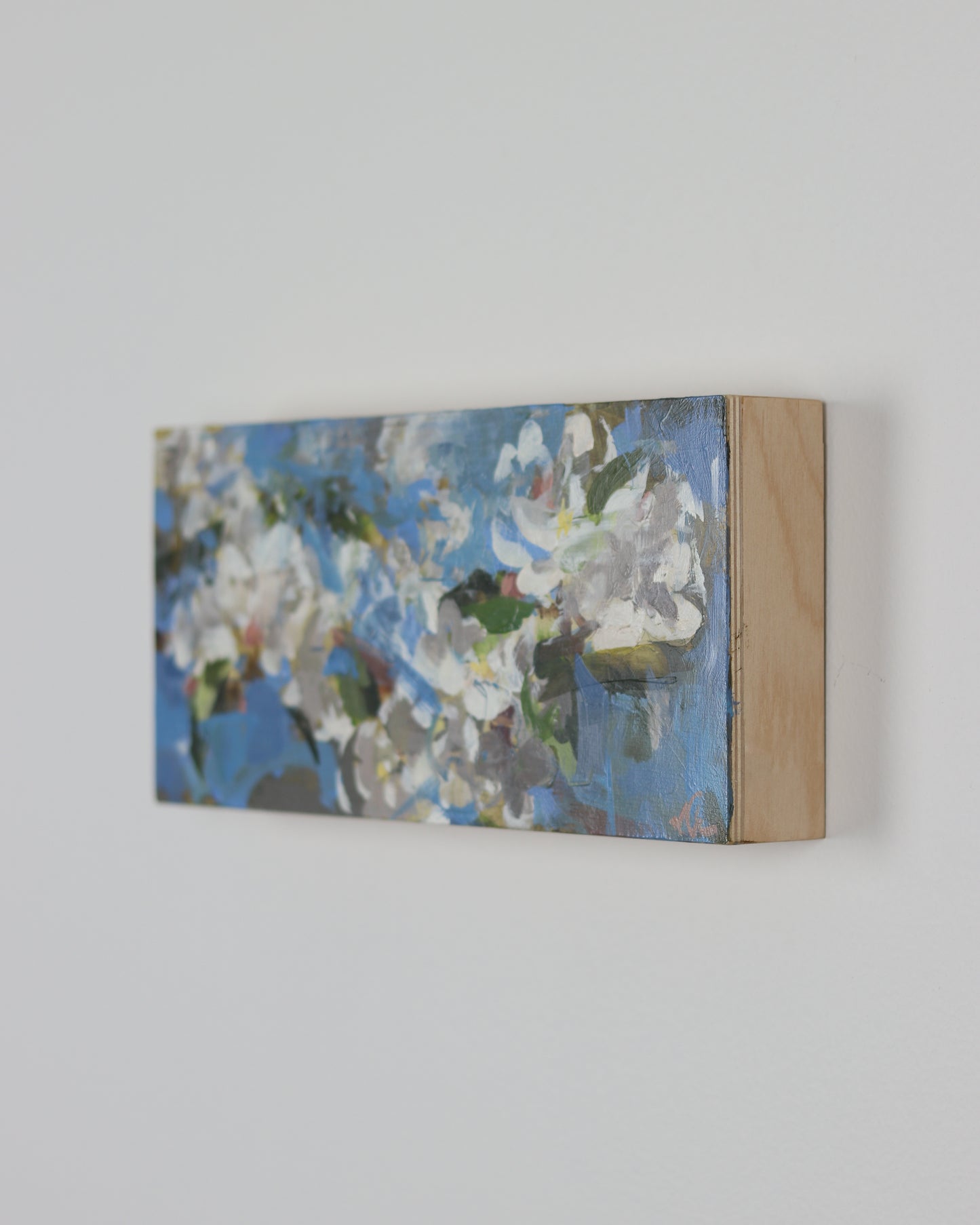 Apple Blossoms on Blue