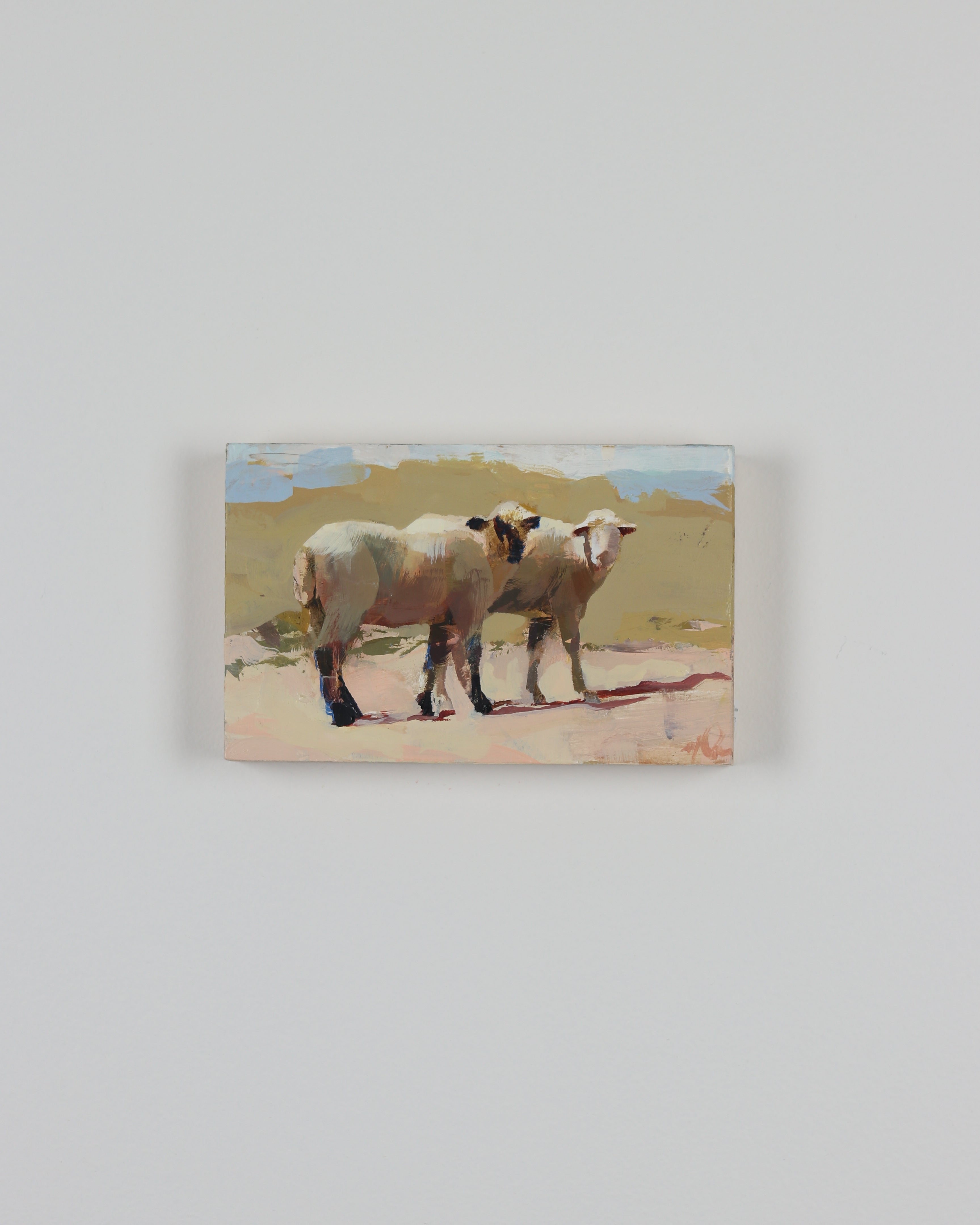 Desert Sheep – Four Lemons