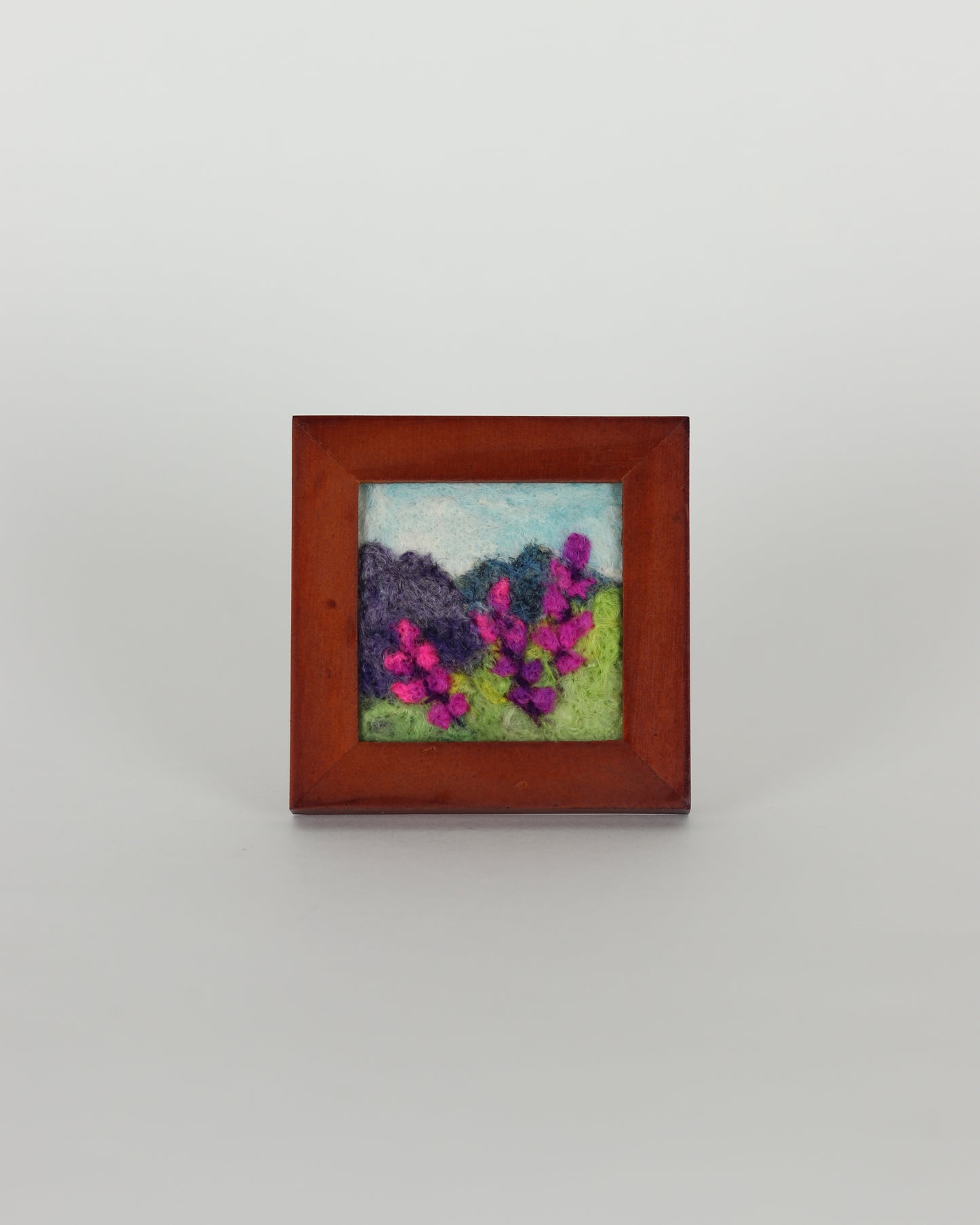 Purple Mountain Lupines