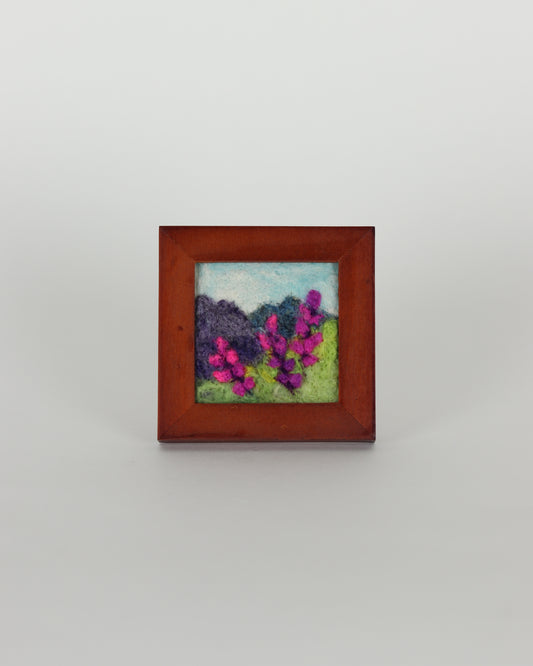 Purple Mountain Lupines