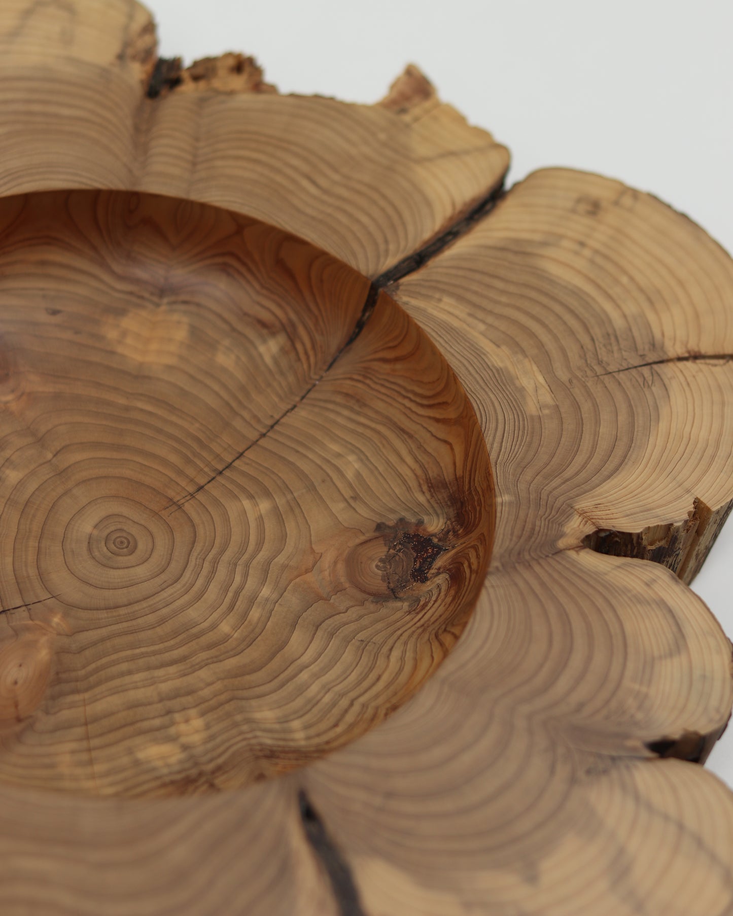 Western U.S. Cedar Live Edge Bowl