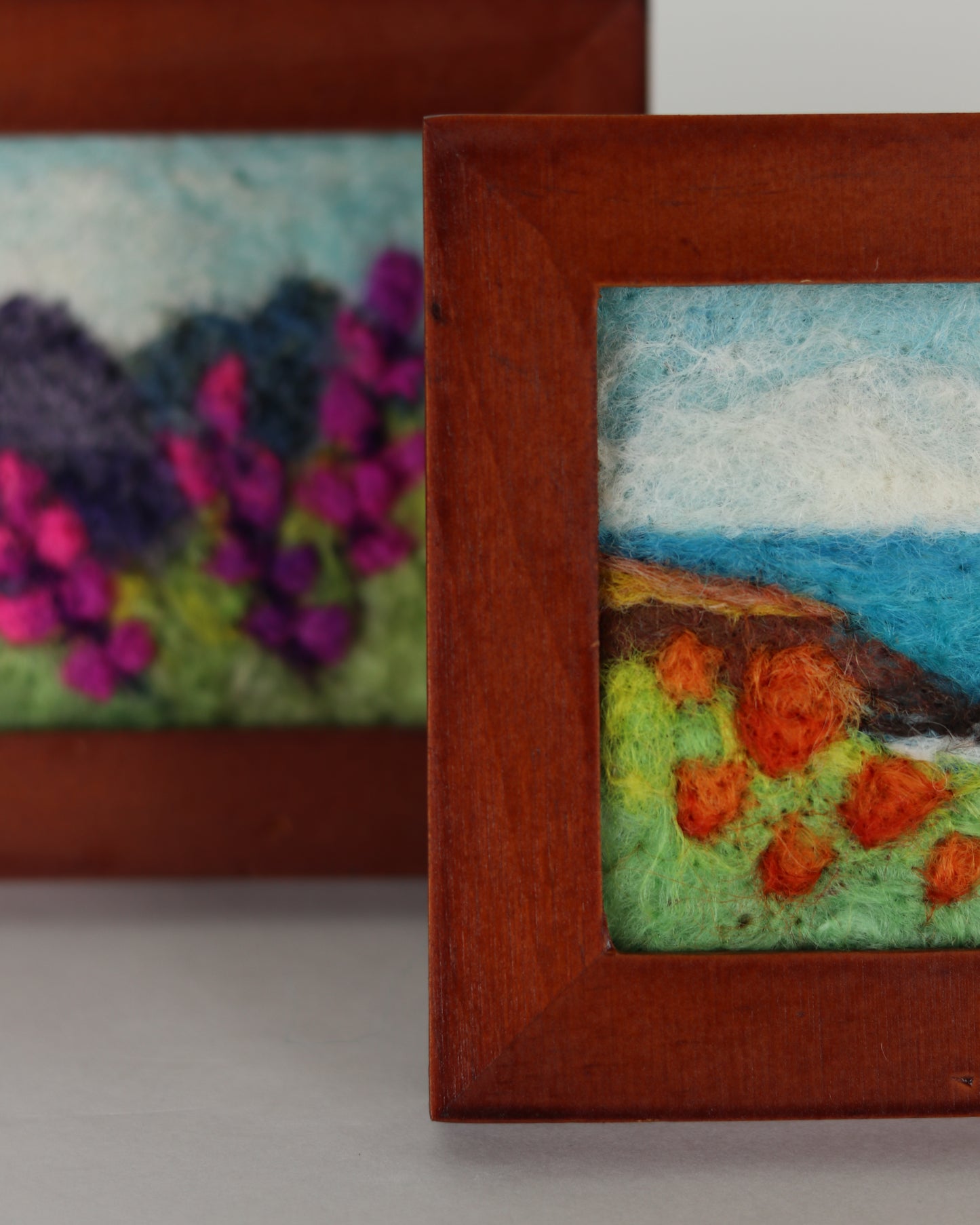 Big Sur Poppies