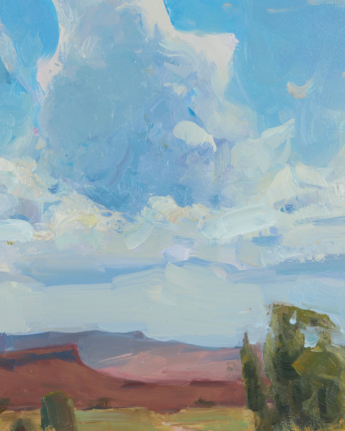 Desert Springtime