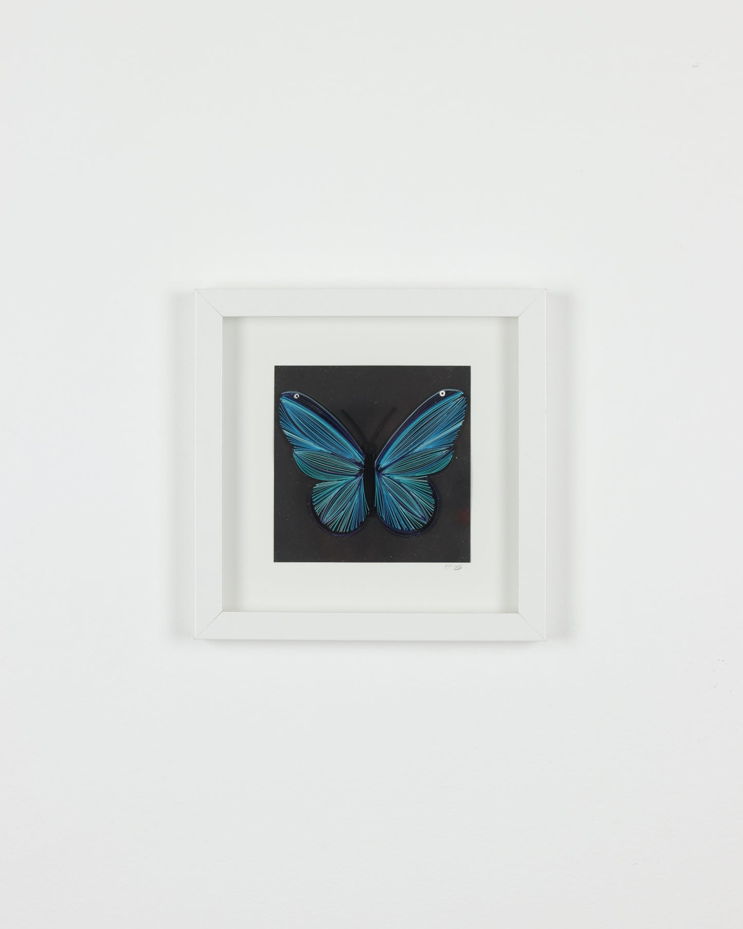 Blue Butterfly