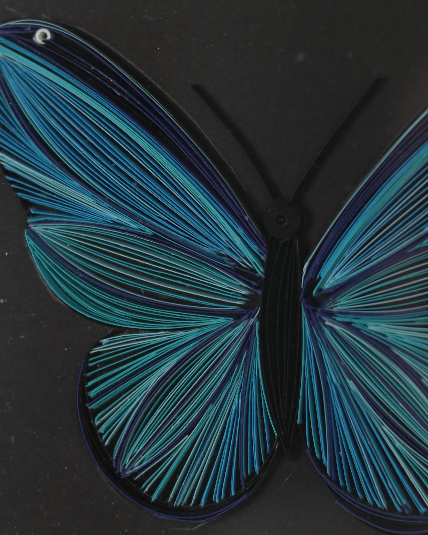 Blue Butterfly