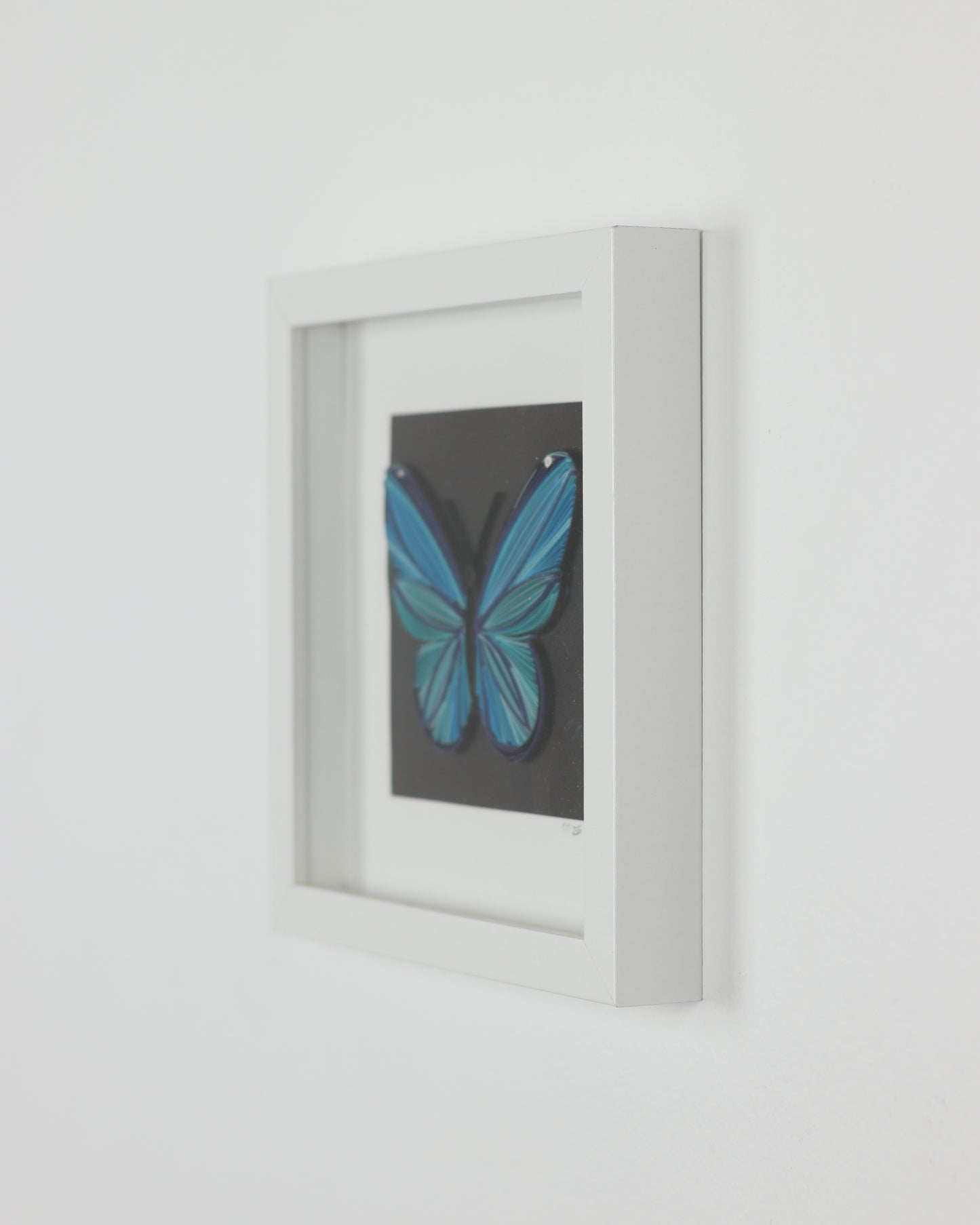 Blue Butterfly