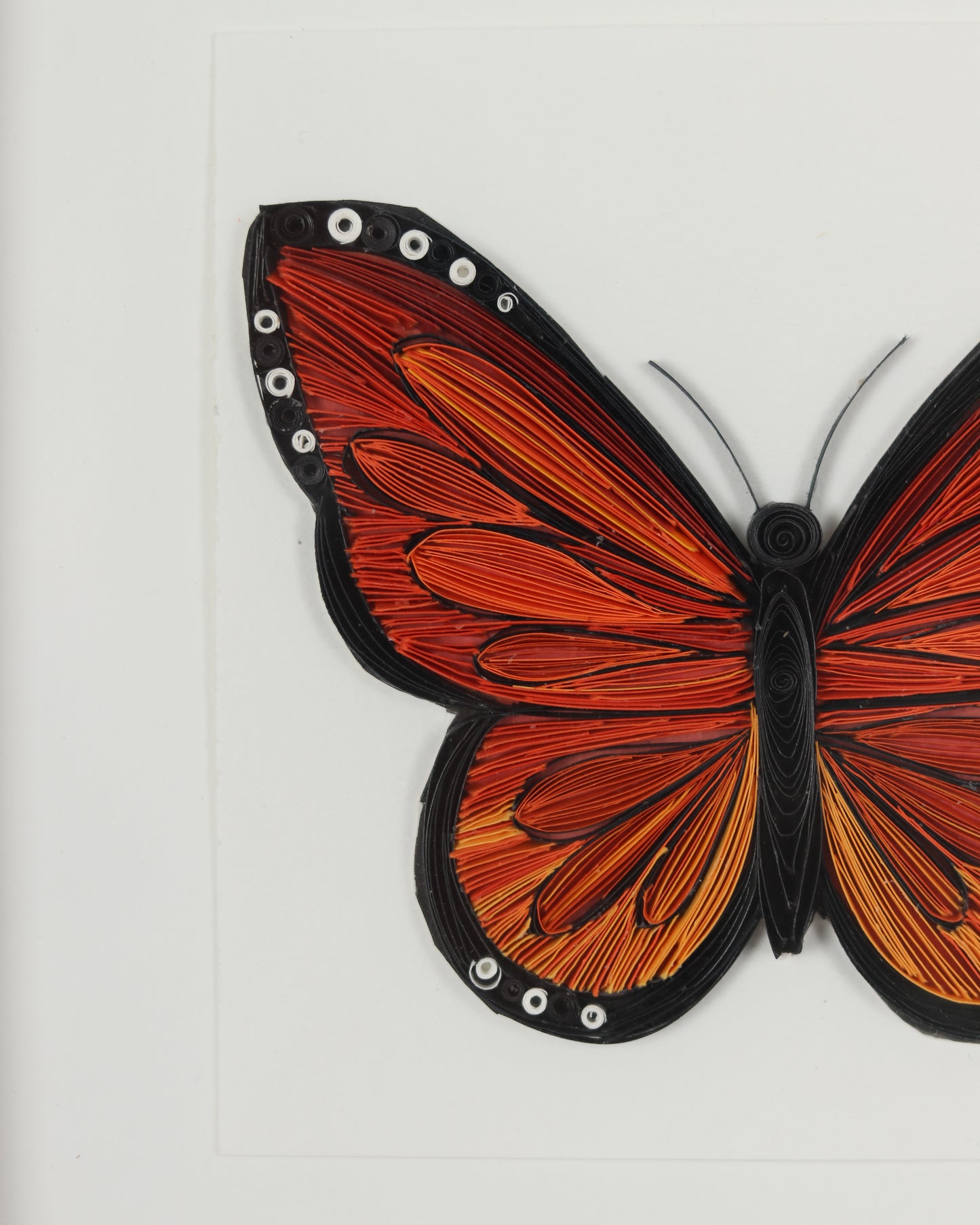 Monarch