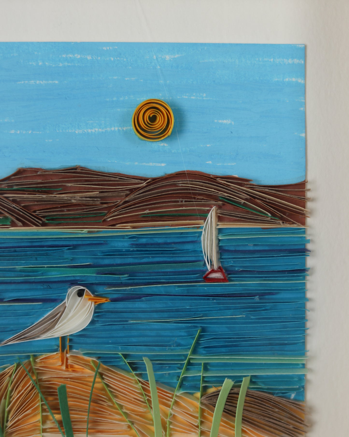 Gull at Bear Lake